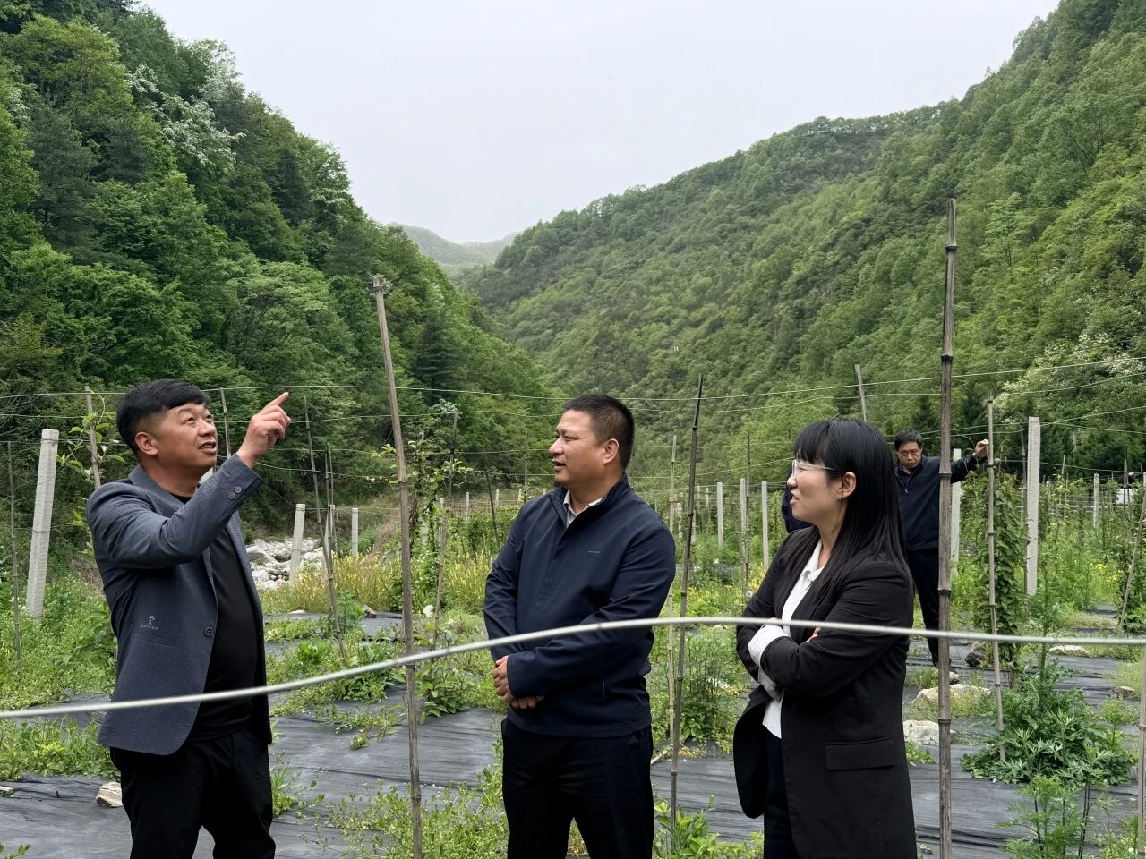 微信图片_2026-06-22_142858_006.jpg